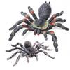 SIENON 2Pcs Realistic Wolf Spider Animal Toys, Lifelike Whiteknee Tarantula Insect Figure Action Model for Kids Education Halloween Pranks Props Decorations view 1