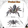 SIENON 2Pcs Realistic Wolf Spider Animal Toys, Lifelike Whiteknee Tarantula Insect Figure Action Model for Kids Education Halloween Pranks Props Decorations view 2