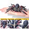 SIENON 2Pcs Realistic Wolf Spider Animal Toys, Lifelike Whiteknee Tarantula Insect Figure Action Model for Kids Education Halloween Pranks Props Decorations view 3
