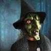 Latex Witch Mask with Black Hair and Hat, Halloween Scary Old Woman Horror Costume Party Props Creepy Cosplay, Green view 2