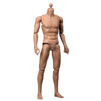 1/6 Scale Male Body, 12inches Male Durable Narrow Shoulder Action Figure Body Doll Collection