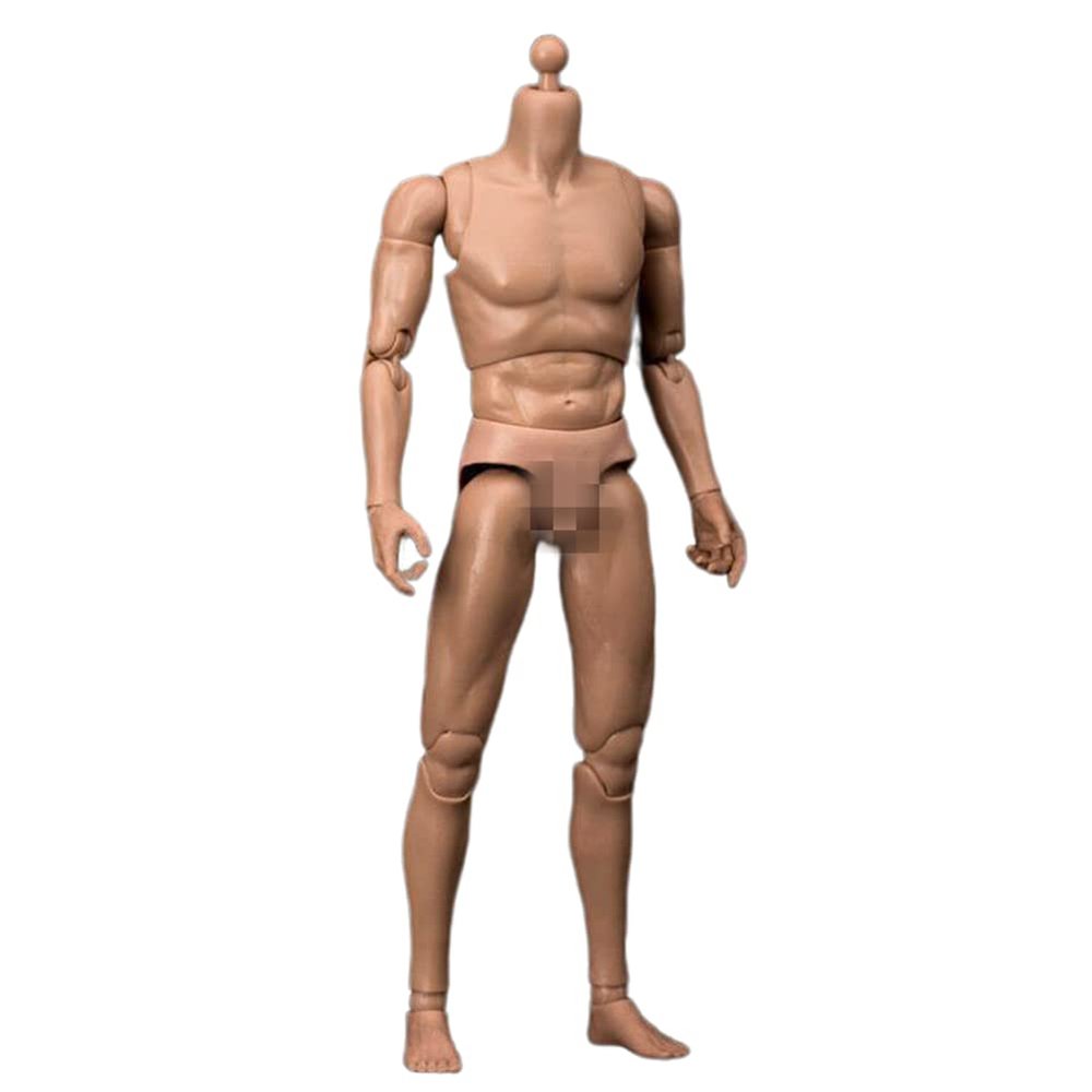 1/6 Scale Male Body, 12inches Male Durable Narrow Shoulder Action Figure Body Doll Collection
