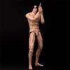 1/6 Scale Male Body, 12inches Male Durable Narrow Shoulder Action Figure Body Doll Collection view 3