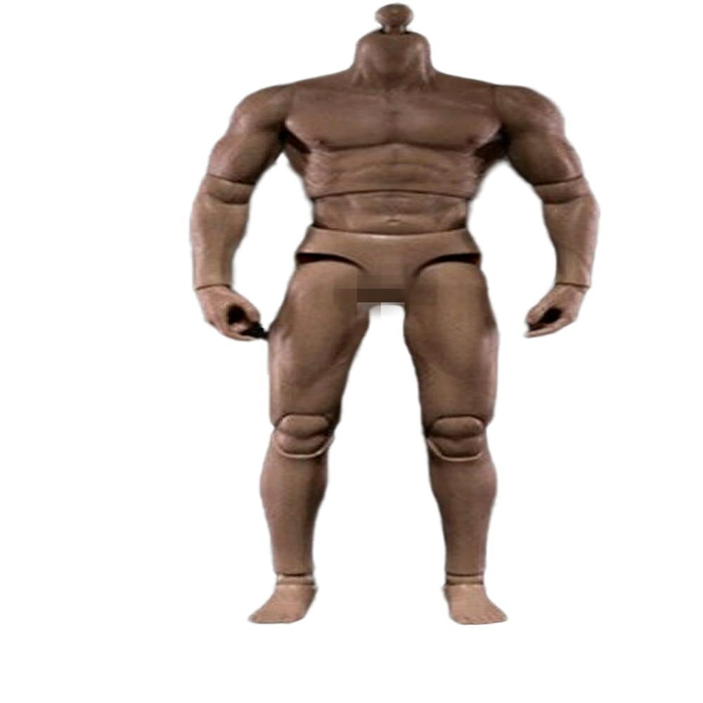 1/6 Scale Male Body, 12inches Durable Male Muscular Nude Action Figure Body Doll Collection, Male Figure Body