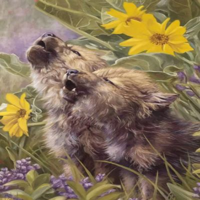 1000 Pieces Jigsaw Puzzle for Adults, Baby Coyote Pups Wooden Jigsaw Puzzle, Exercise Memory Relieve Stress Game Jigsaw Puzzle Family Activities Decompression Gifts