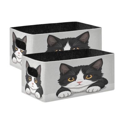 Kcldeci Funny Cat Storage Bins Baskets for Organizing, Kitten Kitty Closeup Portrait Sturdy Storage Basket Foldable Storage Baskets for Shelves Closet Nursery Toy