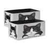 Kcldeci Funny Cat Storage Bins Baskets for Organizing, Kitten Kitty Closeup Portrait Sturdy Storage Basket Foldable Storage Baskets for Shelves Closet Nursery Toy view 1