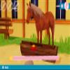 bibi and tina: new adventures with horses (nintendo switch) view 4