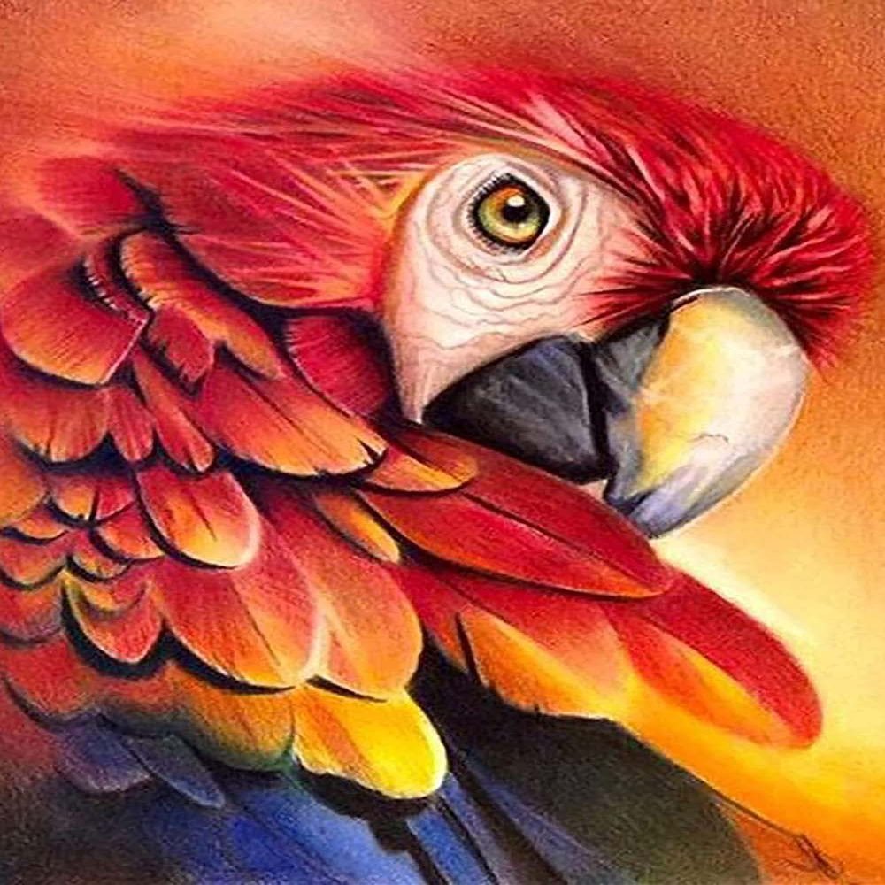 1000 Pieces Jigsaw Puzzle for Adults, Red Parrot Wooden Jigsaw Puzzle, Exercise Memory Relieve Stress Game Jigsaw Puzzle Family Activities Decompression Gifts