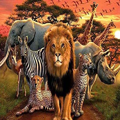 1000 Pieces Jigsaw Puzzle for Adults, Animal World Forest Sunset Lion Leopard Elephant Wooden Jigsaw Puzzle, Exercise Memory Relieve Stress Game Jigsaw Puzzle Family Activities Decompression Gifts