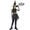 Glow-in-the-Dark Black & Green Midnight Mischief Witch Large Costume (12-14) - 1 Set - Perfect Party Dress Up view 3