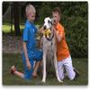 Gazoos Interactive Dog Toy (Sammy the Snowman), Motion Activated Bouncing Talking Pet Toy, Exercise and Entertainment for Dogs and Puppies view 2