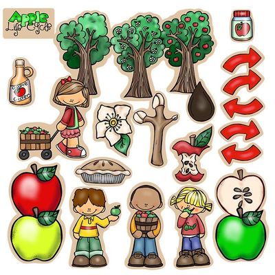 24 Piece Apple Life Cycle Felt Set Flannel Board Story Fruit Storytelling Teaching Activity