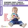Discovery Toys Sensory POPS Turtle | Fidget Popper Sensory Toy | Push and Pop Chew Toy Gift for Baby, Infant, and Kids | Release Stress and Anxiety | Soothe Toy for Children view 2