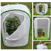 and Butterfly Habitat Cage Terrarium -up with Zipper Butterfly Enclosure (15.7 x 15.7 x 23.6 inches) view 3