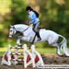 Breyer Horses Traditional Series Get Rowdy | USEF High Performance Horse of The Year 2019 & 2020 | Horse Toy Model | 14" x 11" | 1:9 Scale | Model #1862, White view 2