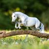 Breyer Horses Traditional Series Get Rowdy | USEF High Performance Horse of The Year 2019 & 2020 | Horse Toy Model | 14" x 11" | 1:9 Scale | Model #1862, White view 4