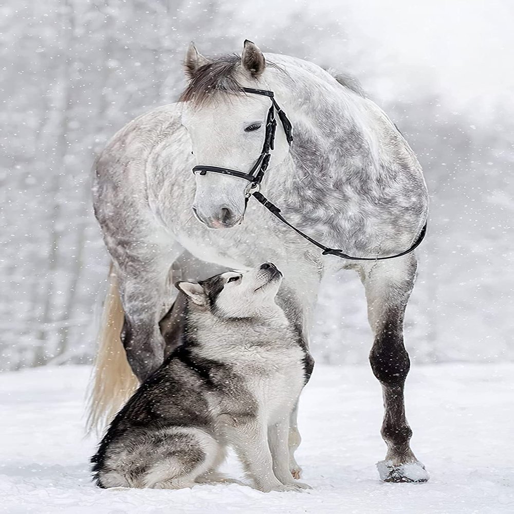 1000 Pieces Jigsaw Puzzle for Adults, White Horse and Wolf Wooden Jigsaw Puzzle, Exercise Memory Relieve Stress Game Jigsaw Puzzle Family Activities Decompression Gifts