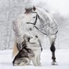 1000 Pieces Jigsaw Puzzle for Adults, White Horse and Wolf Wooden Jigsaw Puzzle, Exercise Memory Relieve Stress Game Jigsaw Puzzle Family Activities Decompression Gifts view 1