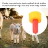 10 Pcs Small Animal Milk Drink Nipple,Nipple for Goats,Sheep Goat Lamb Milk Drink Nipples Soft Rubber Pacifier, Lamb Milk Drink Sheep Nursing Feeder Nipples for Nursing Lambs and Goat Kids view 2