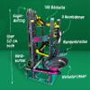 FRANZIS 67173  Build Your own Marble Run, Construction Fun with 143 Pieces Made of Cardboard, Complete Set with 9 Balls, for Children from 8 Years view 3