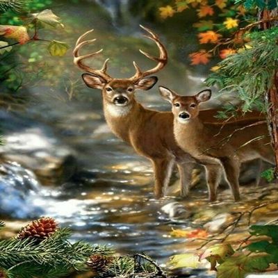 1000 Pieces Jigsaw Puzzle for Adults, Deer Animal Wooden Jigsaw Puzzle, Exercise Memory Relieve Stress Game Jigsaw Puzzle Family Activities Decompression Gifts