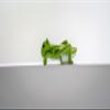 Grasshopper made of natural rubber. TIKIRI view 2