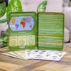 Bendon Dinosaur Species Educational Learning Game Tin view 3