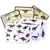 Bendon Dinosaur Species Educational Learning Game Tin view 4