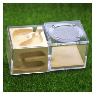 Ant Farm Acrylic Gypsum Ant Nest Stereo Ants Farm House Breeding Insect Villa Pet Home Workshop Formicarium Display Box Terrarium (Color : Yellow)