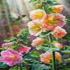 1000 Pieces Jigsaw Puzzle for Adults, Bird and Flowers Wooden Jigsaw Puzzle, Exercise Memory Relieve Stress Game Jigsaw Puzzle Family Activities Decompression Gifts view 1