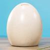 Piggy Bank for Kids,Piggy Bank for Boys Girls and Adult,Decorative Piggy Bank 2in1 Dinosaur Eggs Piggy Bank With Night Light Effect Resin Large Capacity Money Jar,Coin Bank For Boy Girl Baby Kid Child view 3