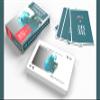 Animal Playing Cards-The Met x Lingo view 3