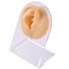 Soft Silicone Flexible Model Body Part Displays Set for Piercings Human Model Simulation Set for Jewelry Display Plastic Holder Included - Sold Individually view 1