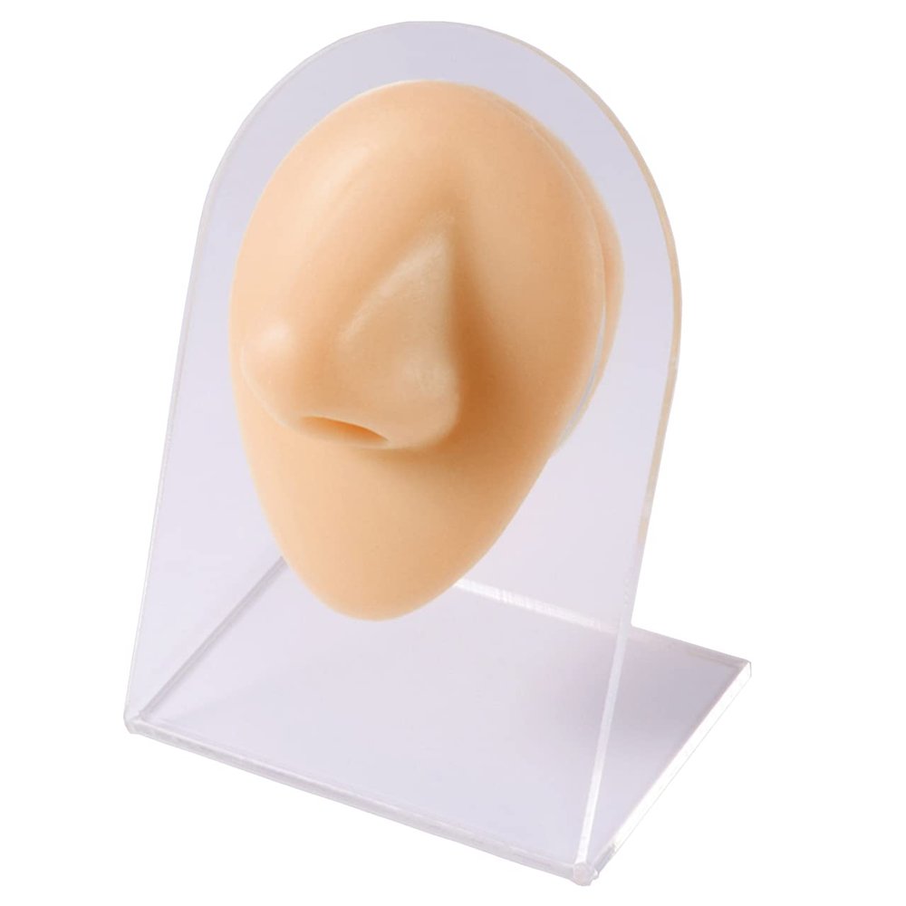 Soft Silicone Flexible Model Body Part Displays Set for Piercings Human Model Simulation Set for Jewelry Display Plastic Holder Included - Sold Individually