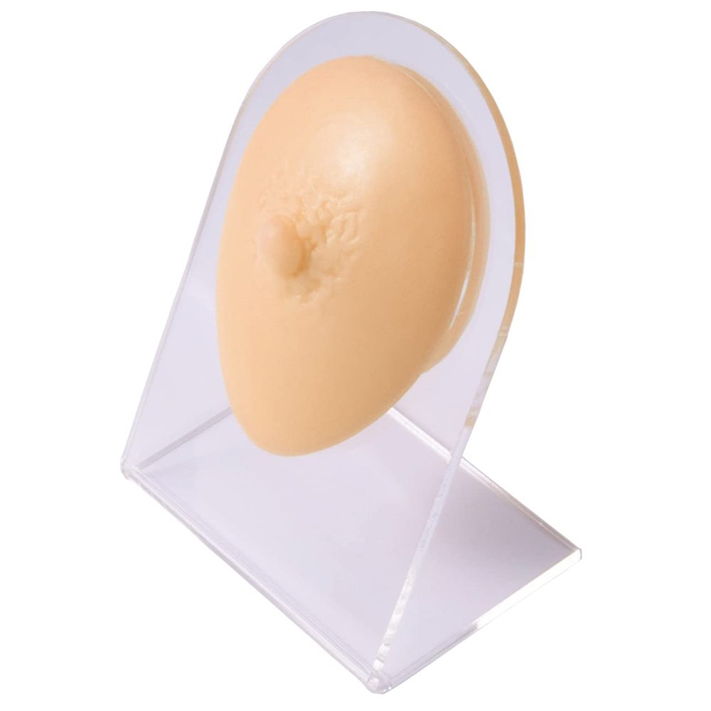 Soft Silicone Flexible Model Body Part Displays Set for Piercings Human Model Simulation Set for Jewelry Display Plastic Holder Included - Sold Individually