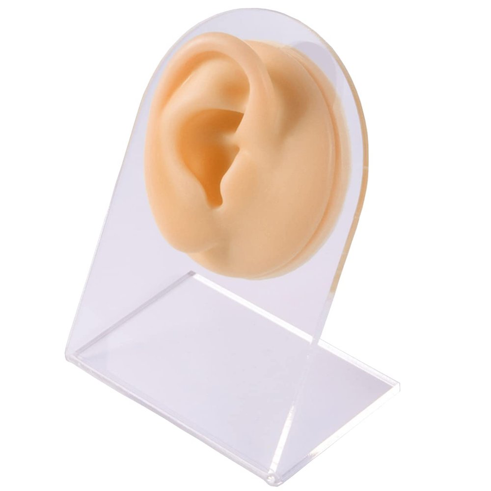 Soft Silicone Flexible Model Body Part Displays Set for Piercings Human Model Simulation Set for Jewelry Display Plastic Holder Included - Sold Individually