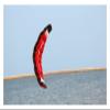 Kites Outdoor Fun Sports New Parafoil Kite /1.8m Dual Line Power Kites/Stunt Kite Good Flying Factory Outlet Kid Game view 2