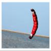 Kites Outdoor Fun Sports New Parafoil Kite /1.8m Dual Line Power Kites/Stunt Kite Good Flying Factory Outlet Kid Game view 3