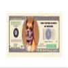 American Art Classics Pack of 100 - Boxer Dog Million Dollar Novelty Bill Collectible - Great Gift or Keepsake for Lovers of Boxers view 2