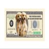 American Art Classics Pack of 100 - Golden Retriever Dog Million Dollar Bills - Best Gift for Golden Retriever Lovers view 2