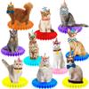 10Pcs Cat Honeycomb Centerpieces Cat Birthday Party Supplies Kitten Party Decorations Lovely Cat Decoration Table for Cat Theme Birthday Party Baby Shower Supplies view 1