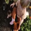 Marlowe & Co Silicone Gardening Set, Garden Tools and Beach Toys for Children (Terracotta) view 3