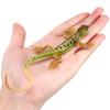 Toddmomy Simulation Lizard Model - Realistic Four-Legged Plastic Lizard Toy for Kids Educational Animal Recognizing Toy Halloween Prank Miniature Decor Ornament view 3