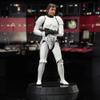 DIAMOND SELECT TOYS LLC DCD 40TH PX SW MILESTONES EP4 Trooper HAN Solo Statue view 4