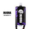 INJORA 050 50T Pro Motor 2pcs High Torque Brushed Motor with Mount for SCX24 Bronco Gladiator C10 JLU Deadbolt B17 Axial Upgrade Parts RC Car Boat Model view 3