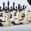 HOLYKING Cloth Chess Set 15.7'' Chess Board Rollup Compact Easy Carry Chessboard, Portable Travel Chess Game Set, Beginner Chess Set for Kids and Adults view 4