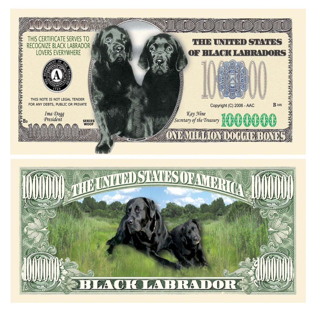 American Art Classics Pack of 50 - Black Labrador Dog Million Dollar Bill - Best Gift for Black Lab Lovers