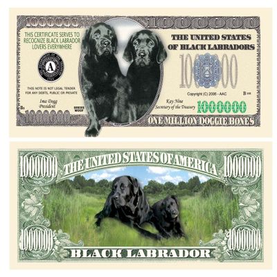 American Art Classics Pack of 100 - Black Labrador Dog Million Dollar Bill - Best Gift for Black Lab Lovers