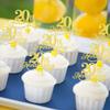 Rsstarxi 24 Pack Cupcake Toppers Glitter Cheers to 20 Years Wedding Twenty Anniversary Cupcake Picks for Happy 20th Anniversary Birthday Retirement Party Cake Decorations Supplies view 4